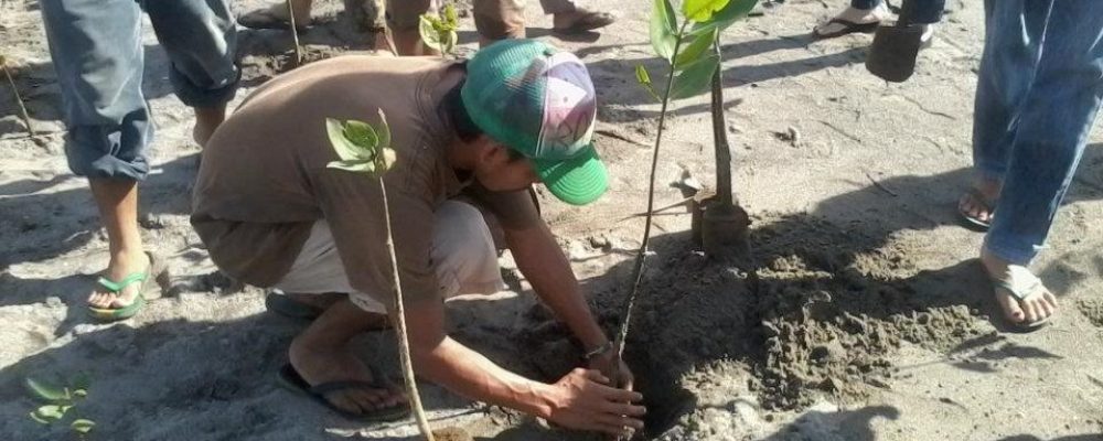 [ Ulyces ] Aux Philip­pines, tous les étudiants doivent plan­ter 10 arbres avant leur diplôme